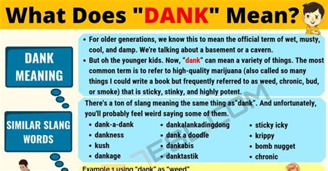 dank meaning urban dictionary|what does dank mean slang.